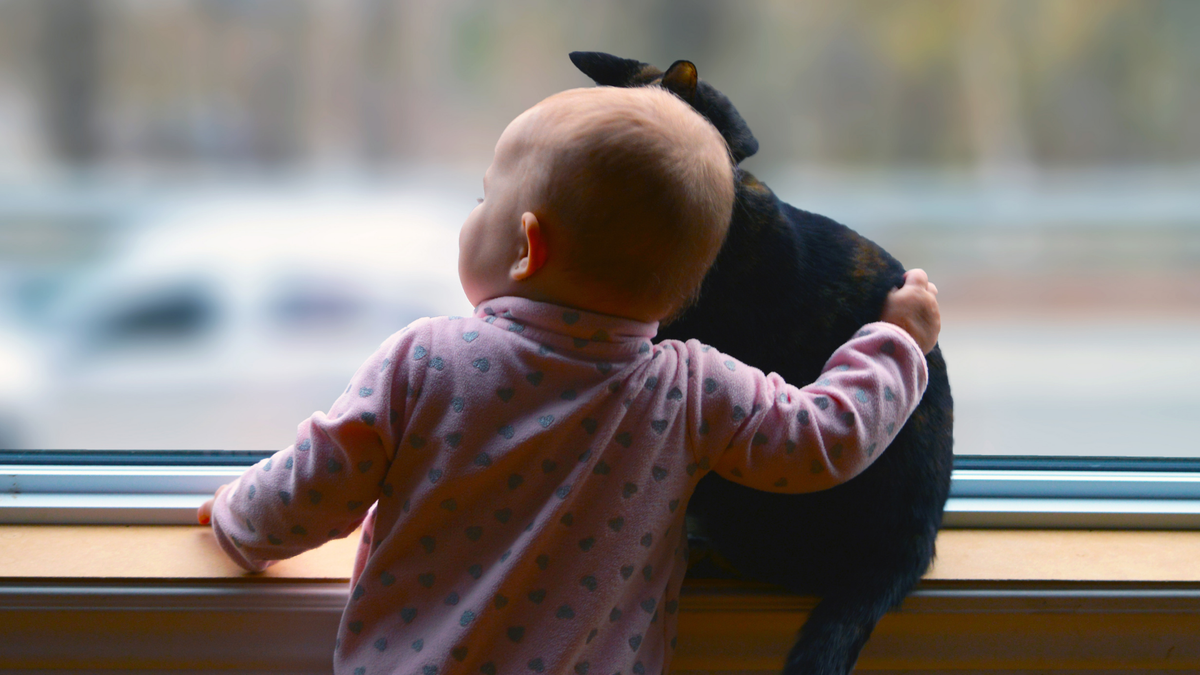 11 month old baby girl and cat